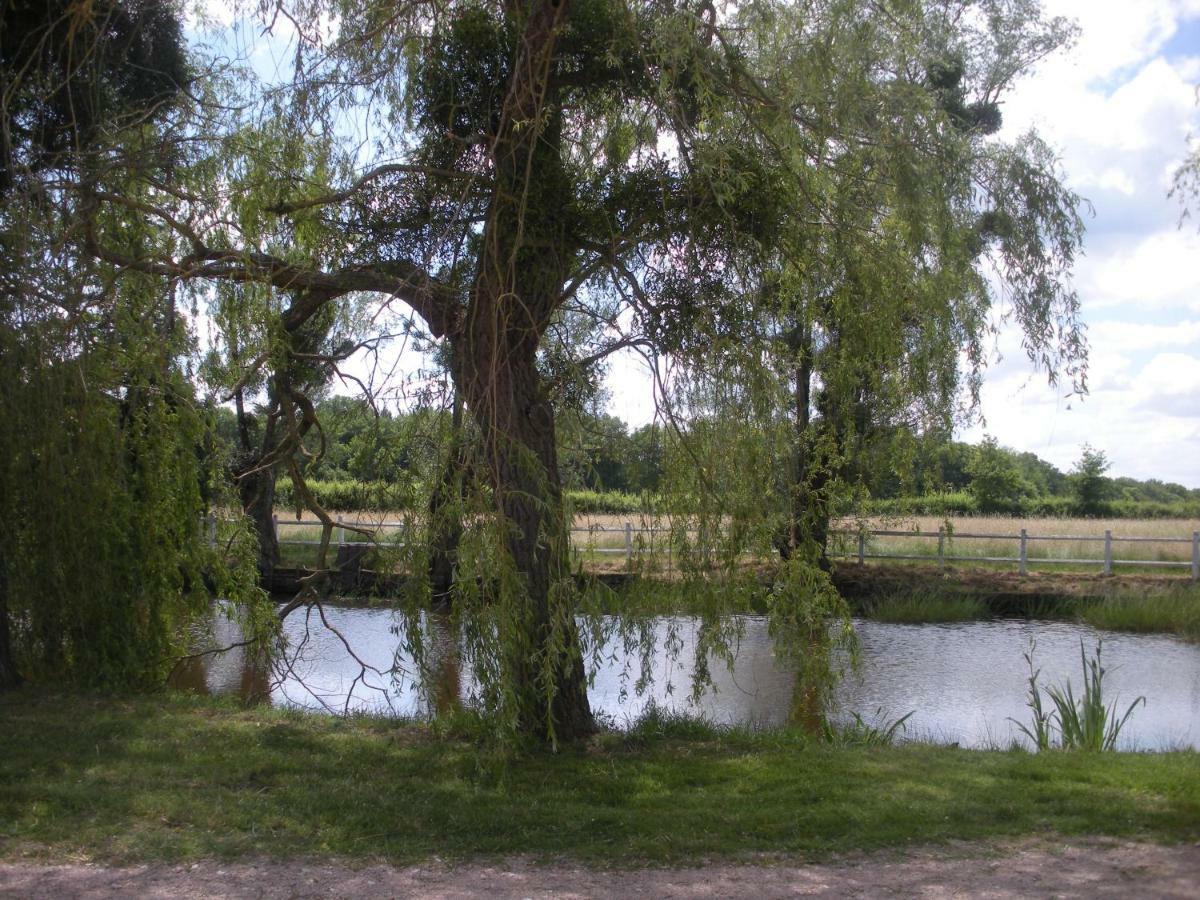 MontbeugnyLe Domaine Du Mijarnier住宿加早餐旅馆 外观 照片